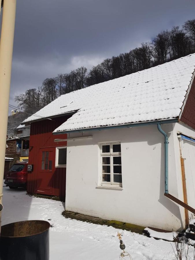 Ferienhaus Am Fluss Mit Traumhafter Dachterrasse ,Garten Und Grill Walkenried Eksteriør billede