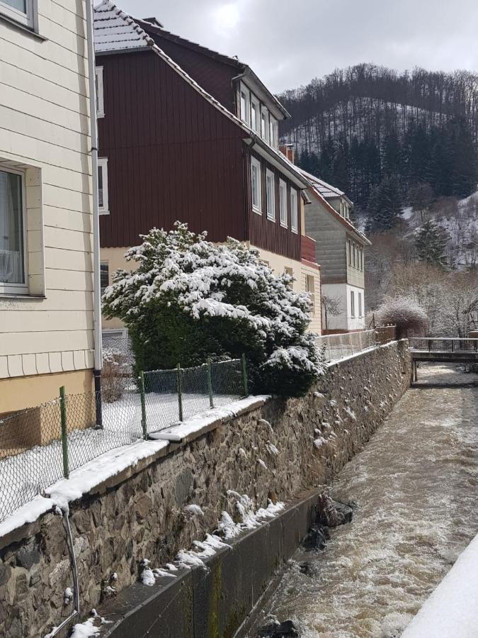Ferienhaus Am Fluss Mit Traumhafter Dachterrasse ,Garten Und Grill Walkenried Eksteriør billede