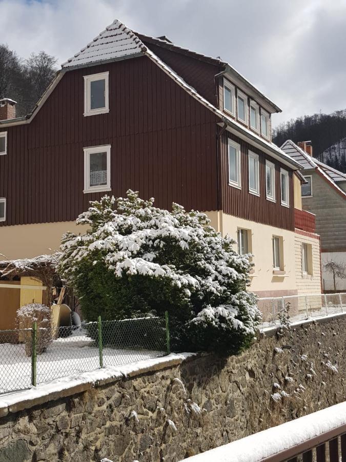Ferienhaus Am Fluss Mit Traumhafter Dachterrasse ,Garten Und Grill Walkenried Eksteriør billede