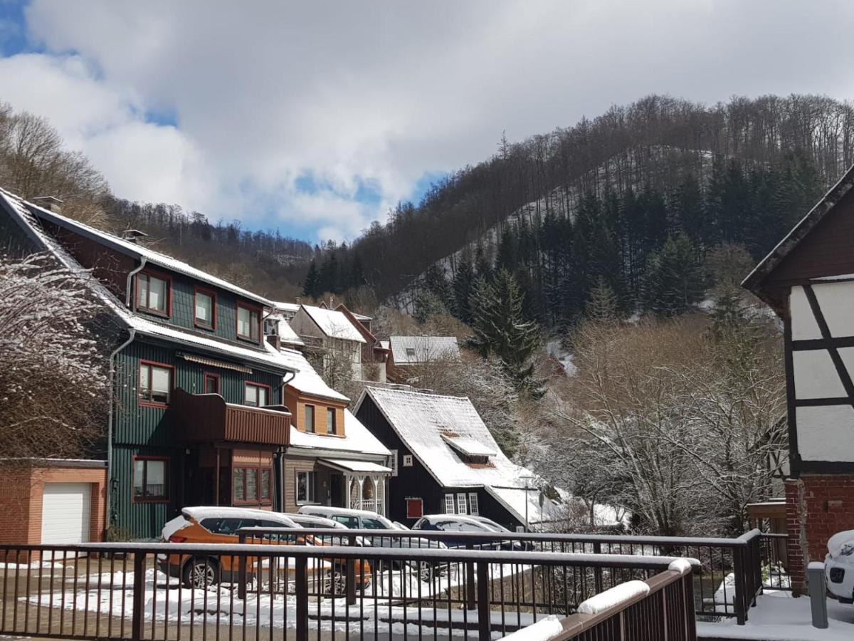 Ferienhaus Am Fluss Mit Traumhafter Dachterrasse ,Garten Und Grill Walkenried Eksteriør billede