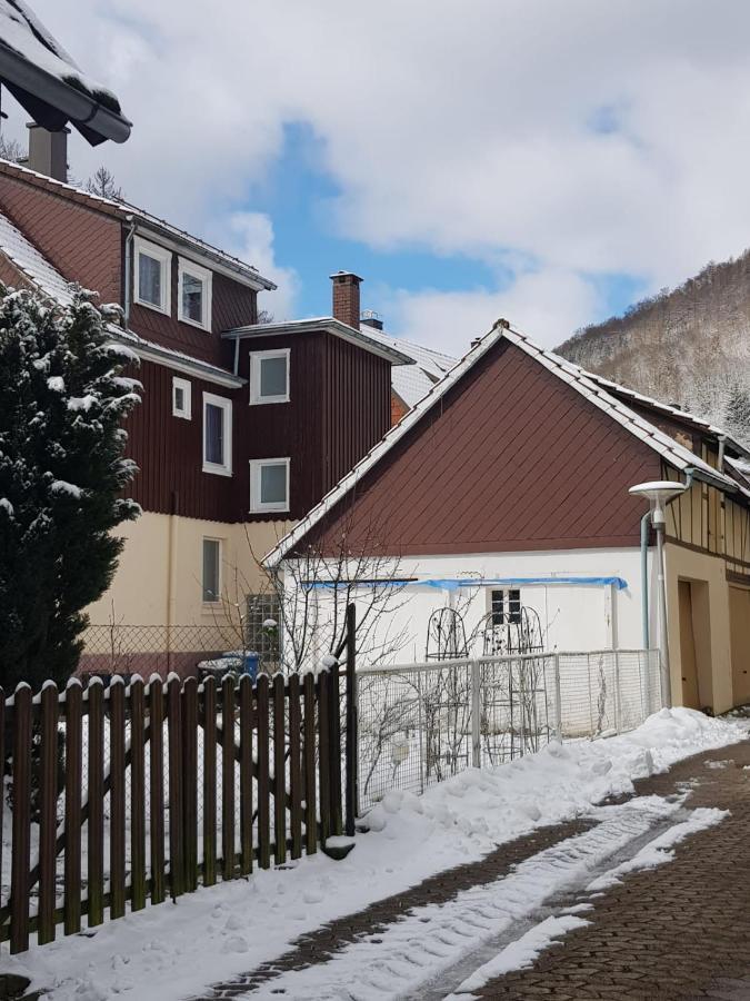 Ferienhaus Am Fluss Mit Traumhafter Dachterrasse ,Garten Und Grill Walkenried Eksteriør billede
