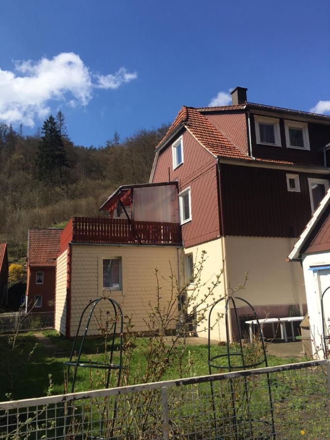 Ferienhaus Am Fluss Mit Traumhafter Dachterrasse ,Garten Und Grill Walkenried Eksteriør billede