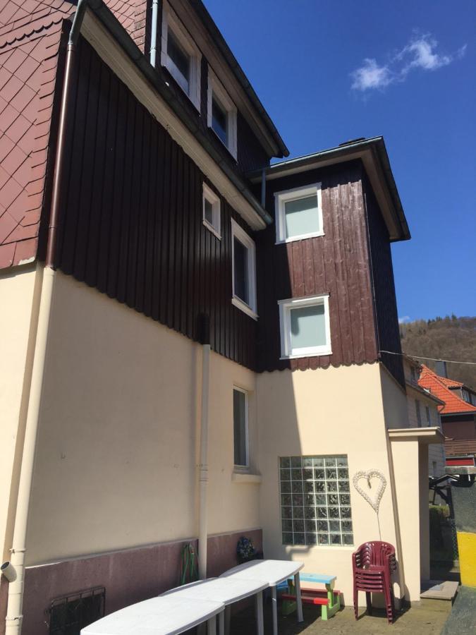 Ferienhaus Am Fluss Mit Traumhafter Dachterrasse ,Garten Und Grill Walkenried Eksteriør billede