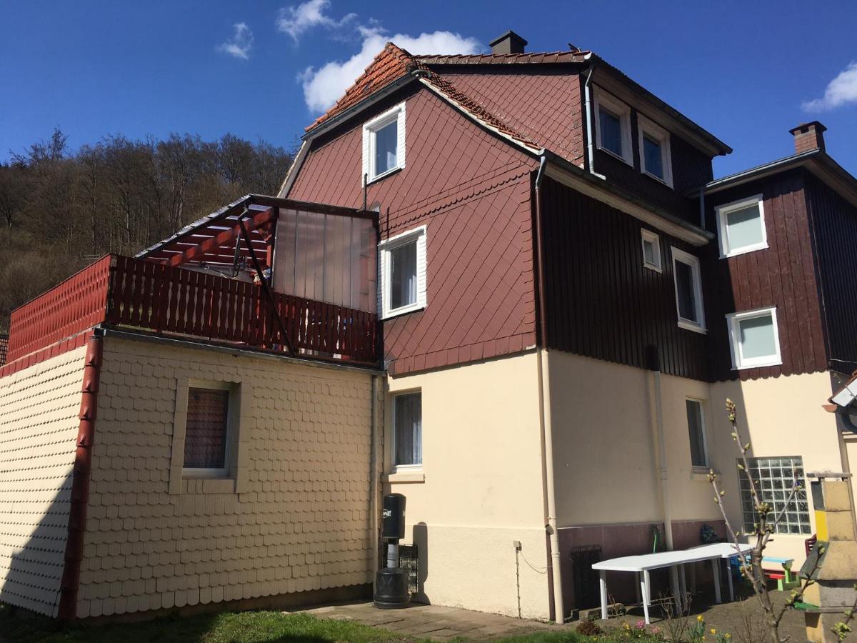 Ferienhaus Am Fluss Mit Traumhafter Dachterrasse ,Garten Und Grill Walkenried Eksteriør billede