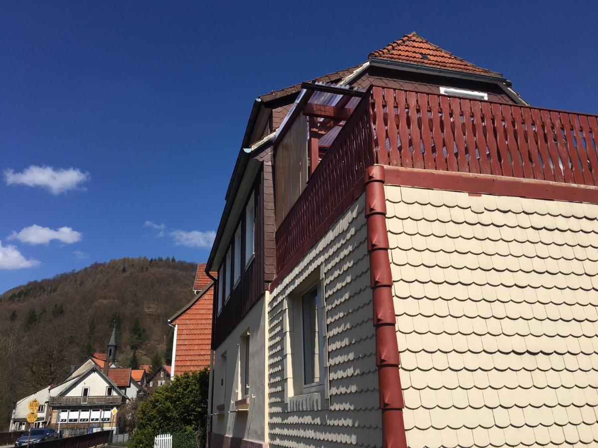 Ferienhaus Am Fluss Mit Traumhafter Dachterrasse ,Garten Und Grill Walkenried Eksteriør billede