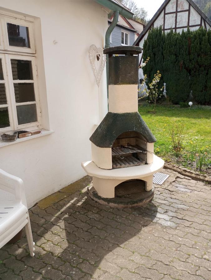 Ferienhaus Am Fluss Mit Traumhafter Dachterrasse ,Garten Und Grill Walkenried Eksteriør billede