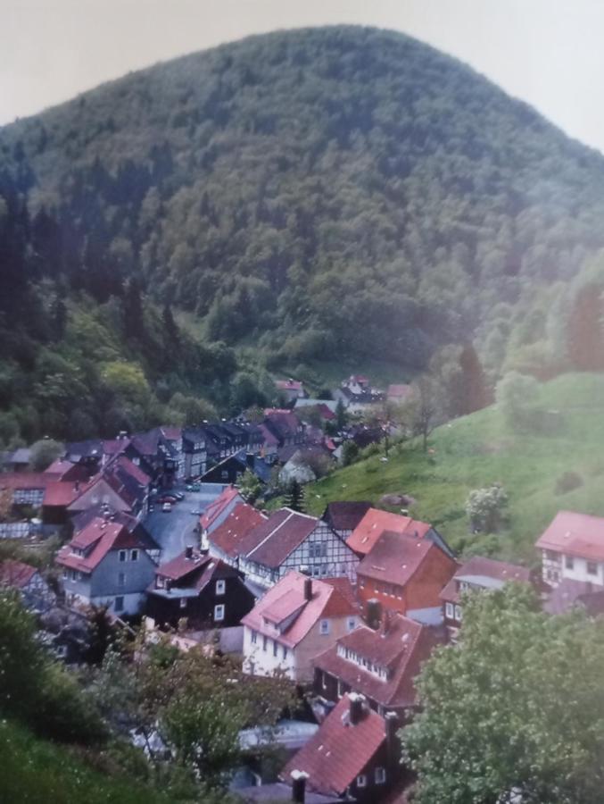 Ferienhaus Am Fluss Mit Traumhafter Dachterrasse ,Garten Und Grill Walkenried Eksteriør billede